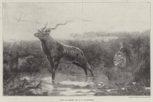 Still as Death by John Trivett Nettleship